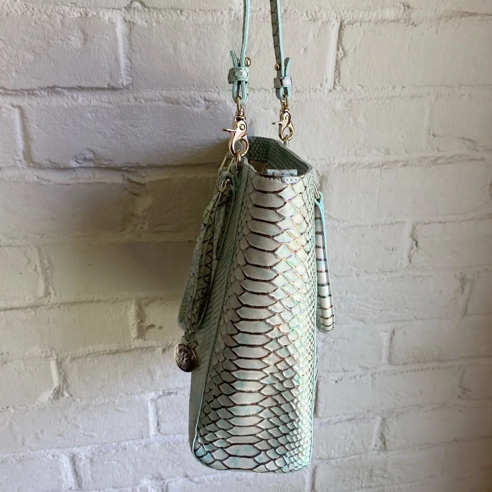 Brahmin new without